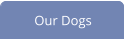 Our Dogs